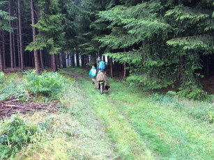 Sint-Martinus den XIIde - Kamp Bourseigne-Neuve WK